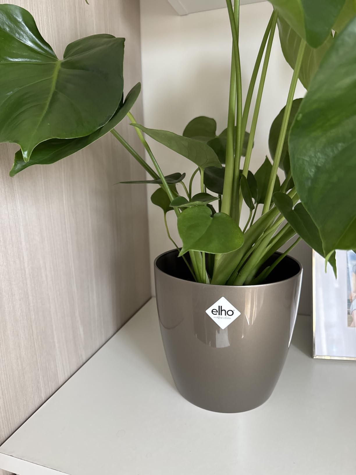 elho Brussels Blumentopf 22cm schwarz metallic rund für innen
