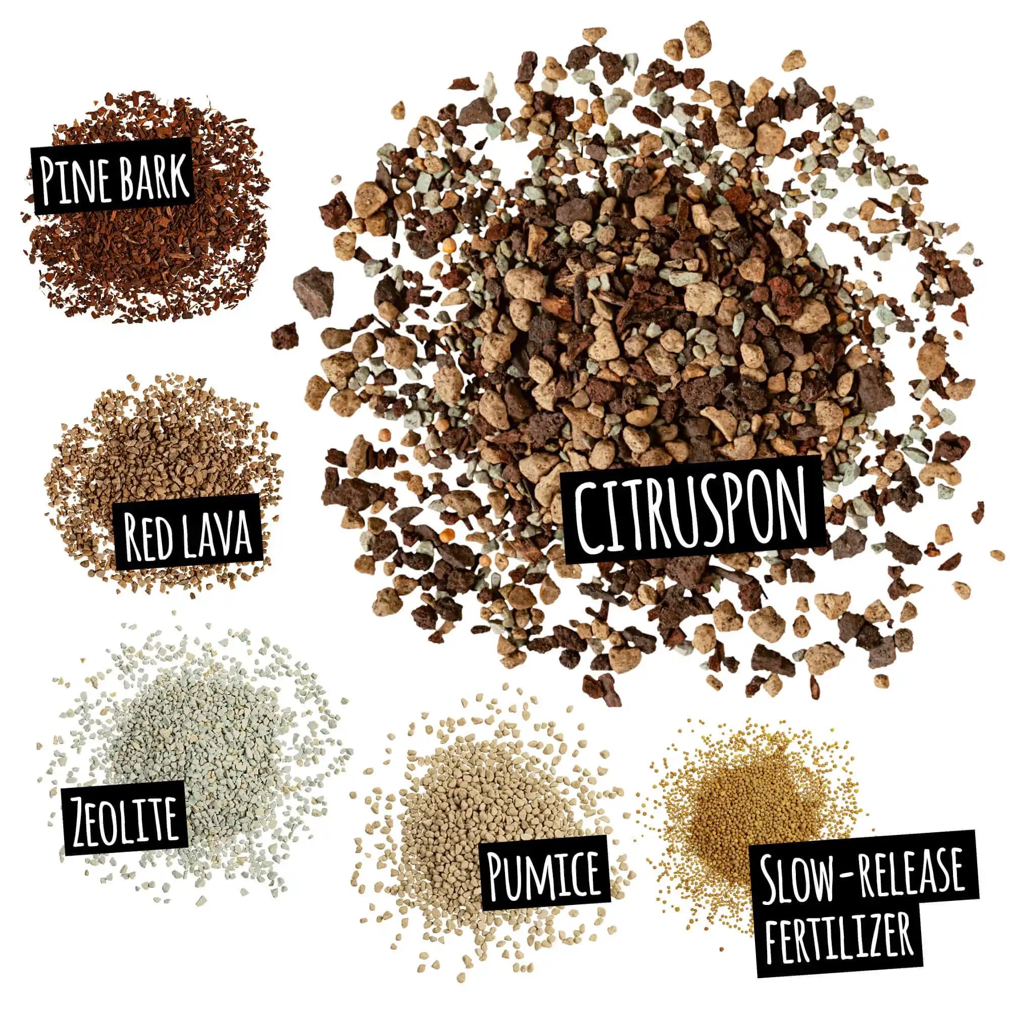 Lechuza Pon Citruspon Pflanzsubstrat 12L torffrei Zitruserde