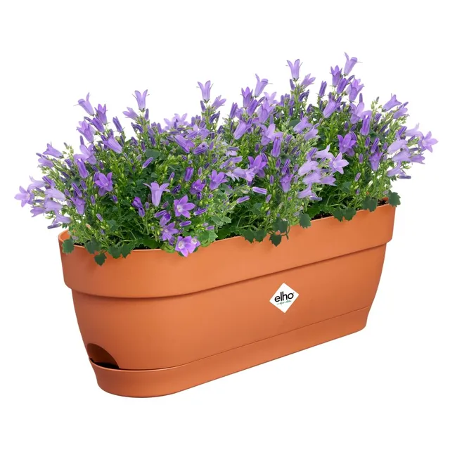 elho Vibia Campana Balkonkasten 50 cm Terra