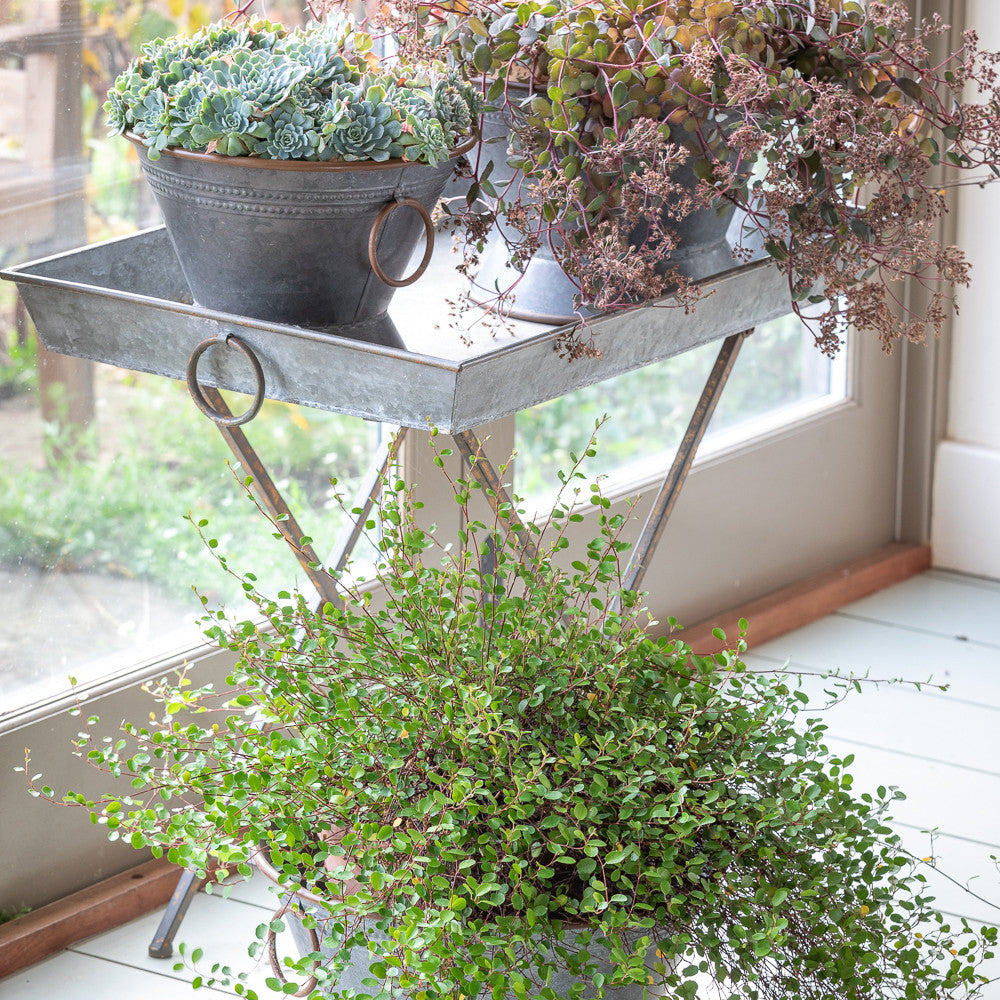 Sarah Raven Gartentisch Rustic Zinc Metall 71cm klappbar