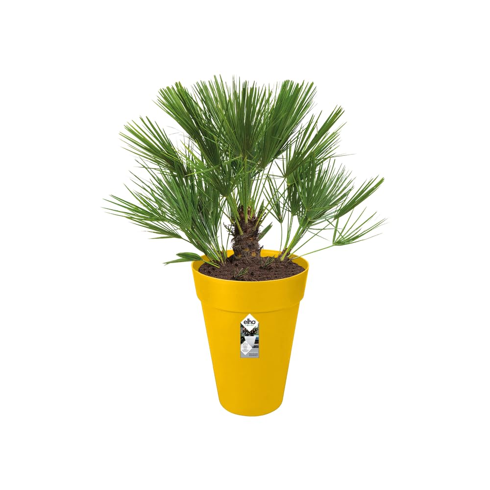 elho Loft Urban Rund Hoch 35cm Blumentopf Ocker