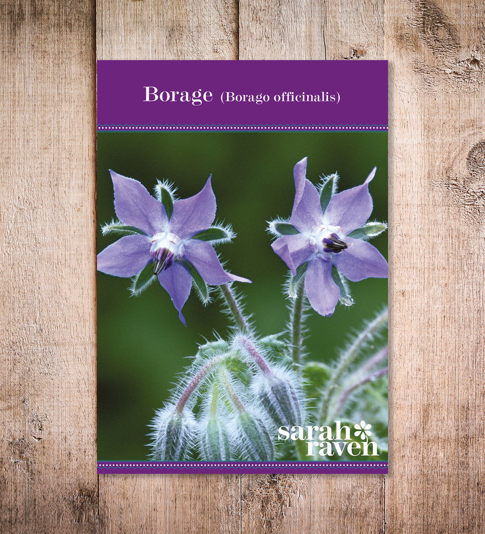 Sarah Raven Seeds Borago officinalis Samen 60 Samen essbar