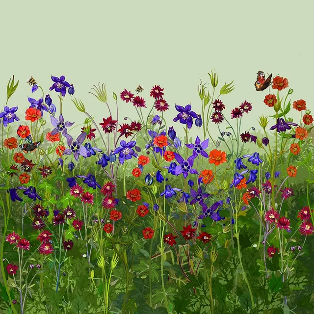 Sarah Raven Plants Oast Garden Kombination Stauden 9 x 9cm Töpfe Biene
