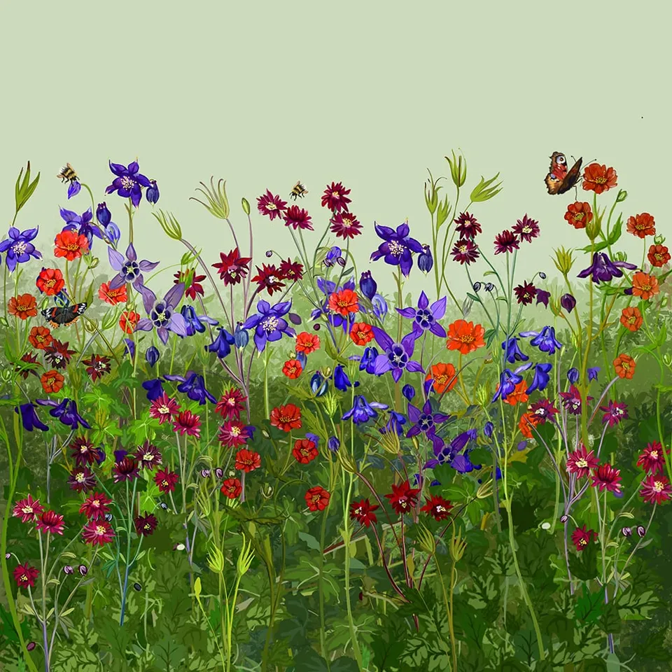 Sarah Raven Plants Oast Garden Kombination Stauden 9 x 9cm Töpfe Biene