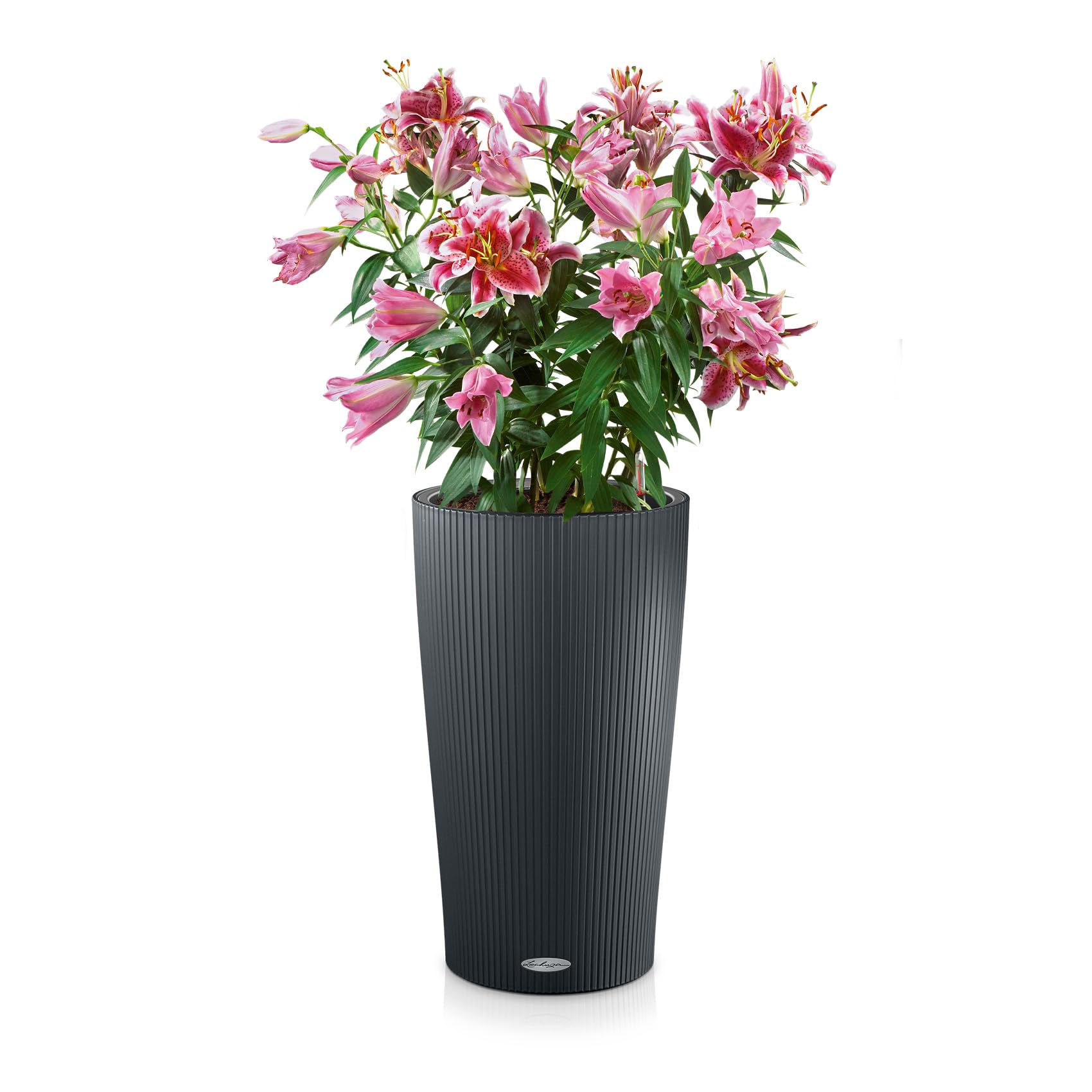 Lechuza Cilindro Color 23 Pflanzsäule Schiefergrau Ø23cm Bewässerung