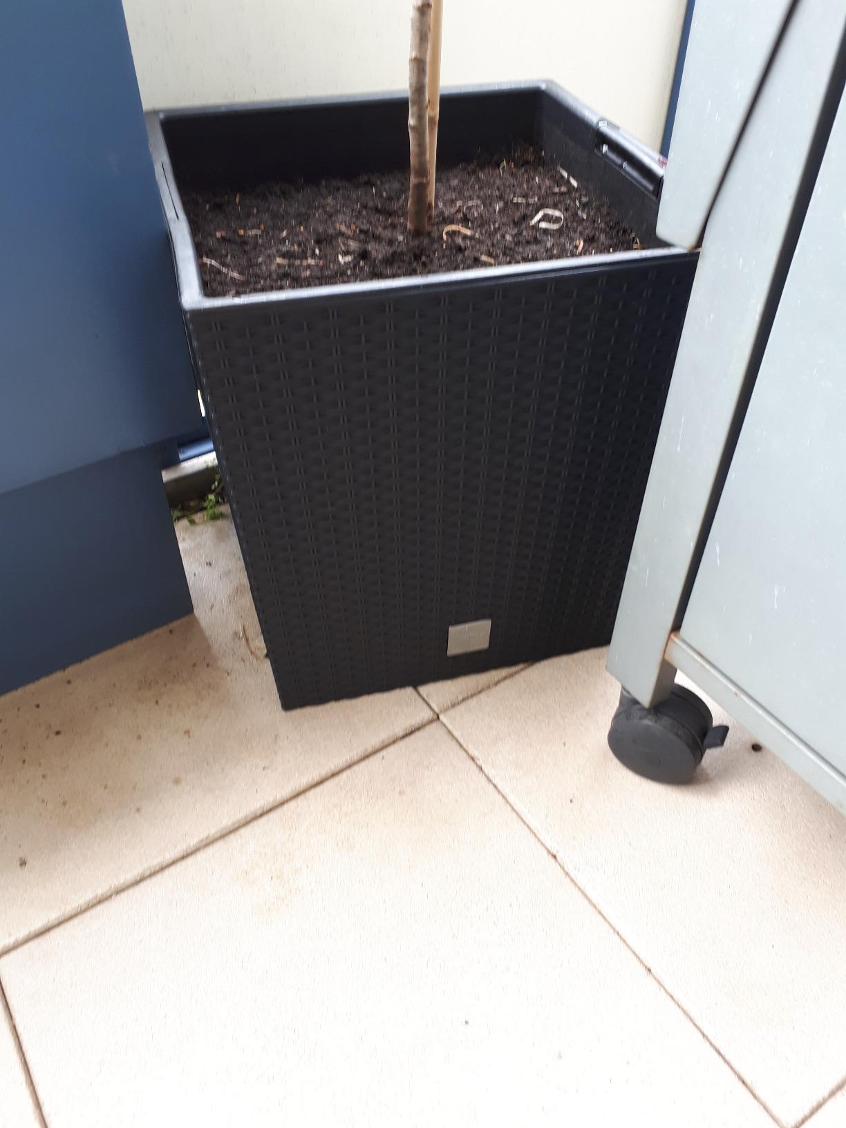 Prosperplast Rato Blumentopf anthrazit 40cm eckig mit Einsatz
