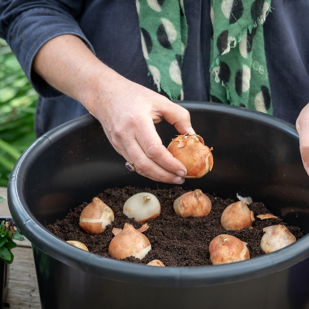 Sarah Raven Pots for Successional Planting Pflanztopf 2er-Set 20L
