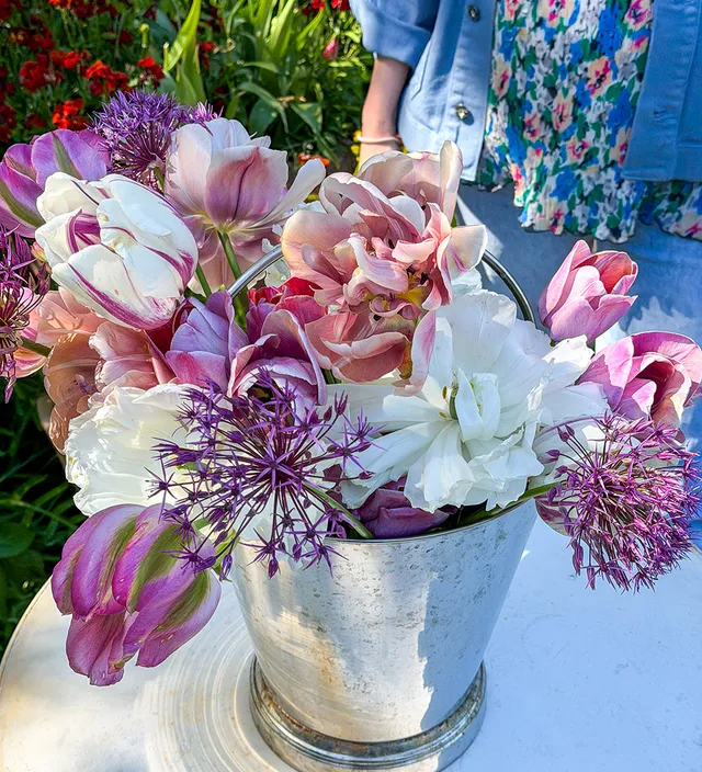 Sarah Raven Savannah Miller Blumenzwiebeln 45St rosa Tulpen Mix