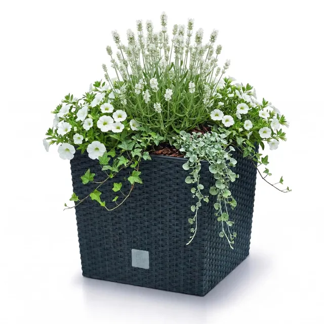 Prosperplast Rato Blumentopf anthrazit 40cm eckig mit Einsatz