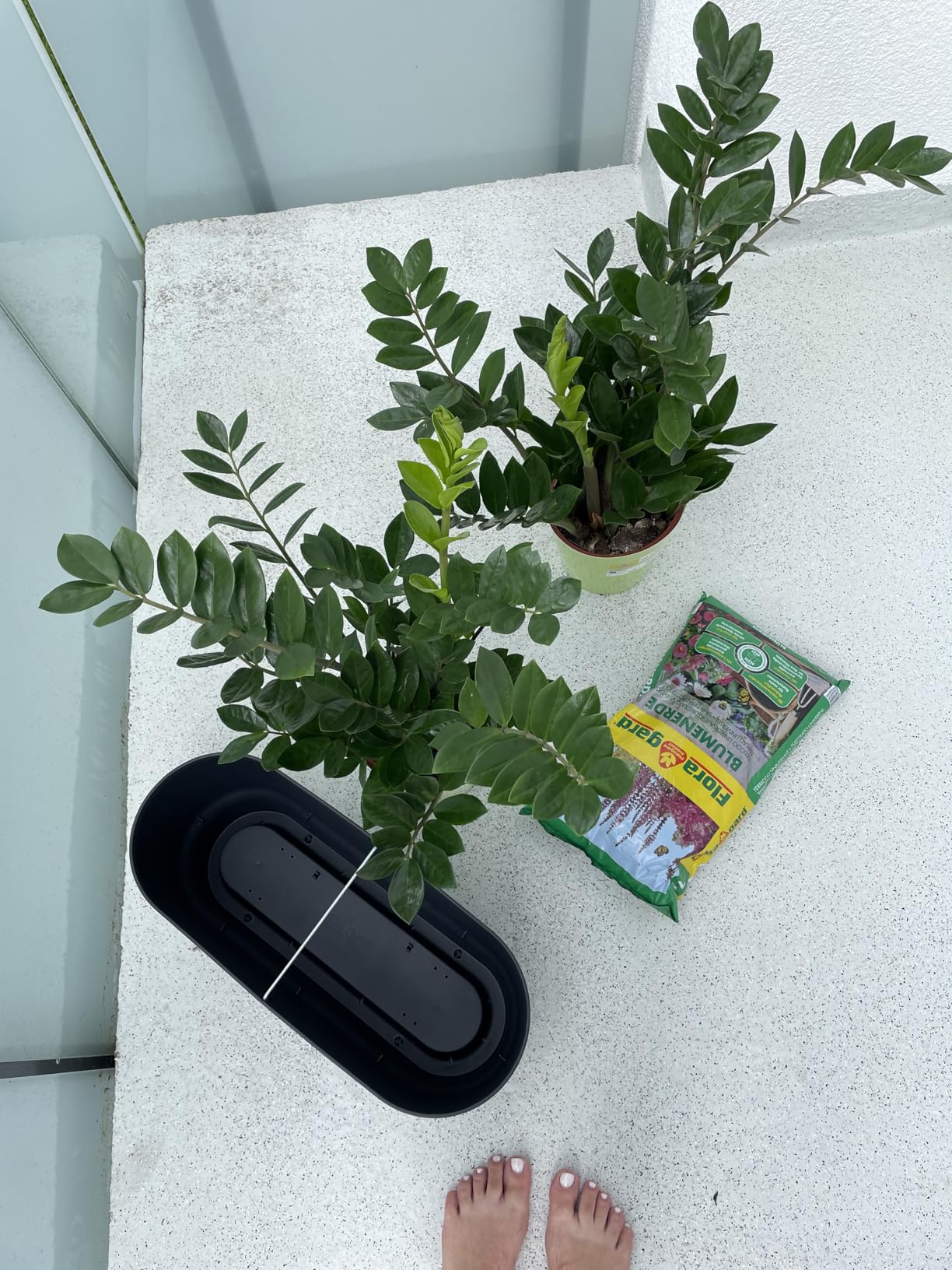 elho Greenville Pflanzgefäß Lang 50 Leaf Green 50cm
