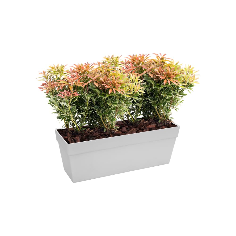 elho Loft Urban Balkonkasten 50 cm Weiß frostbeständig