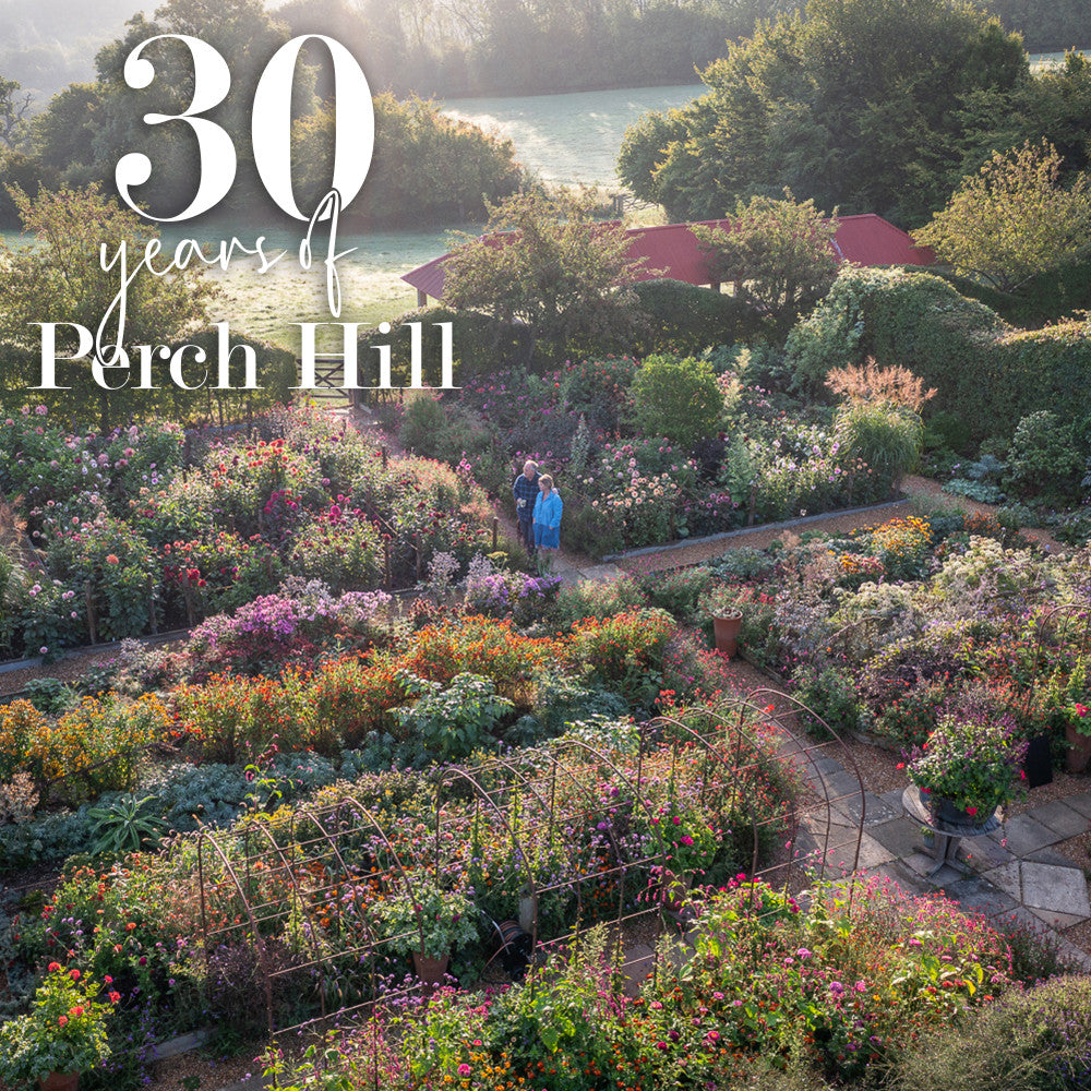Sarah Raven Perch Hill Dahlia Day Kurs 18. September Dahlien