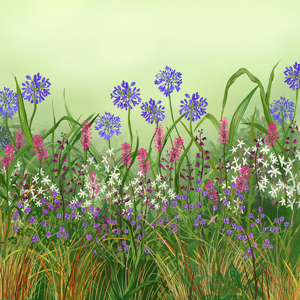 Sarah Raven Plants Hot and Dry Border Collection Stauden 18 Stk