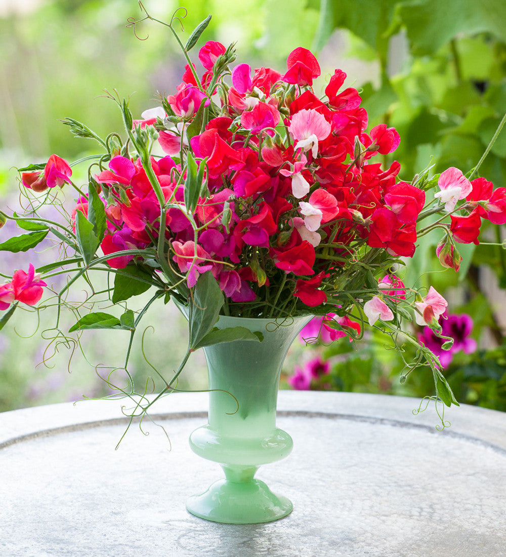 Sarah Raven Favourite Jade Vase Glasvase Mittel grün opak