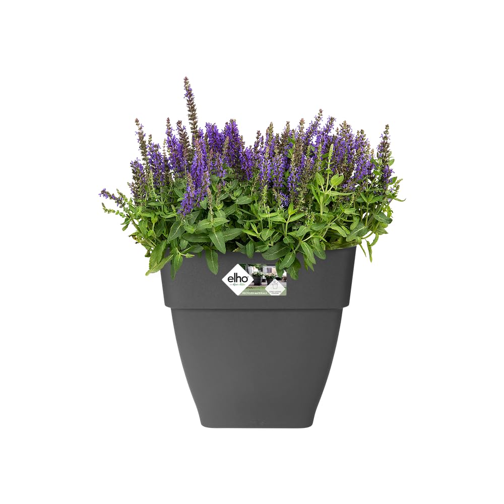 elho Vibia Campana 37 Blumentopf Anthracite Quadratisch