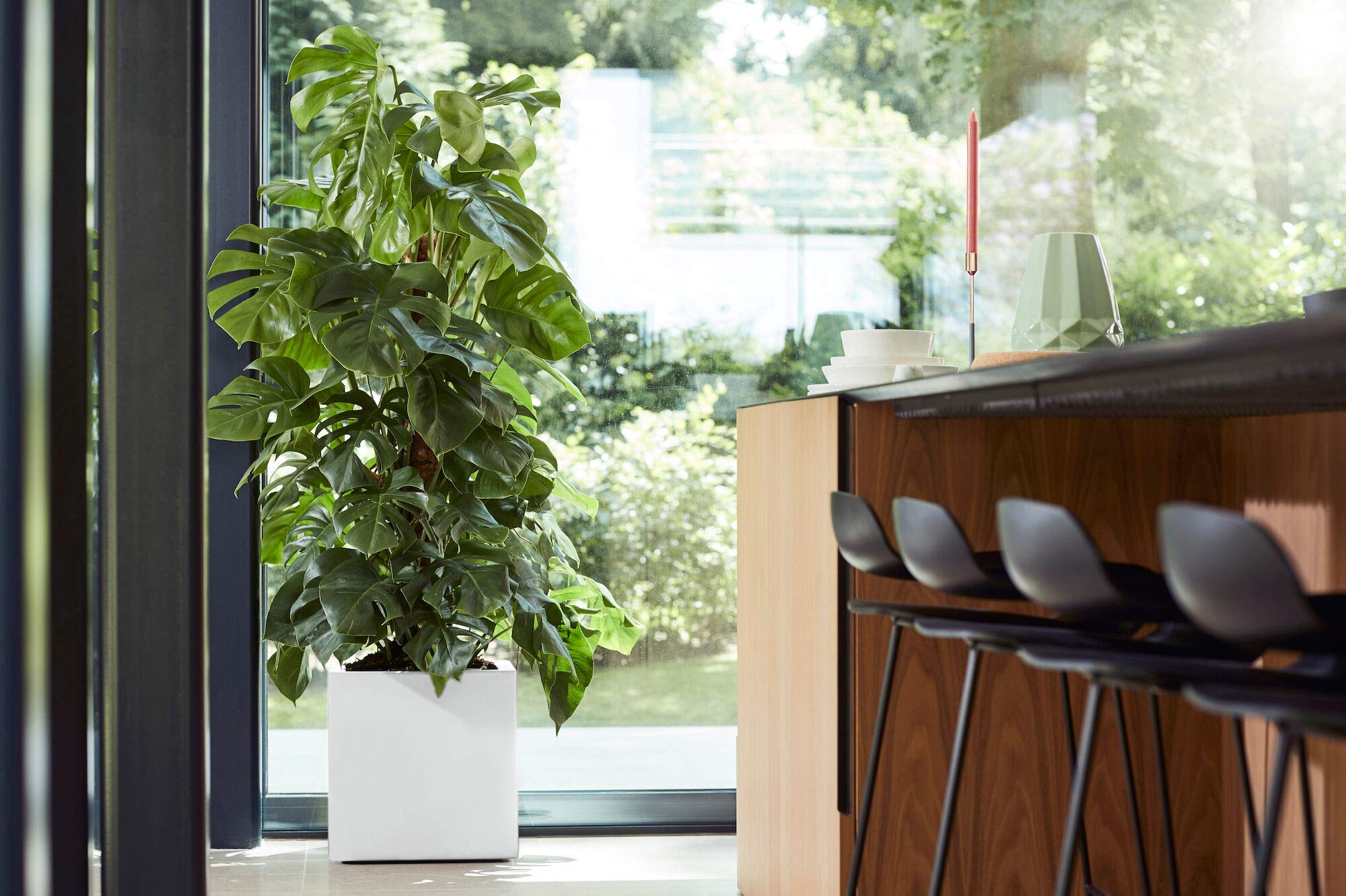 elho Vivo Square Blumenkasten Weiß 40 cm mit Rollen