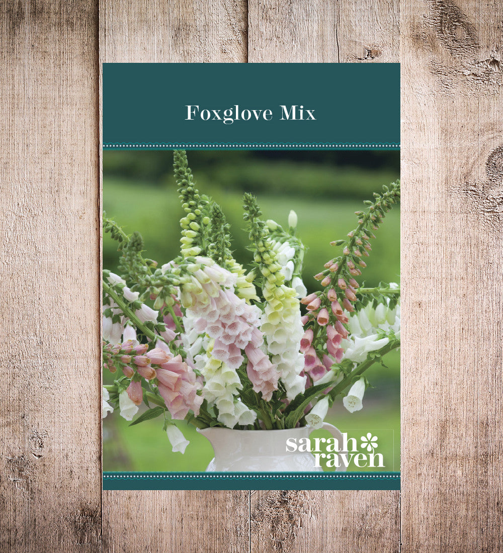 Sarah Raven Foxglove Collection Saatgut 1000 Samen