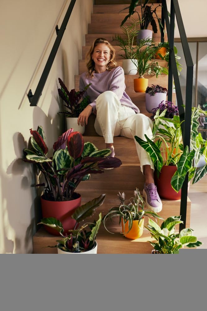 elho Jazz rund 26 Blumentopf Lavendel Lila recycelt