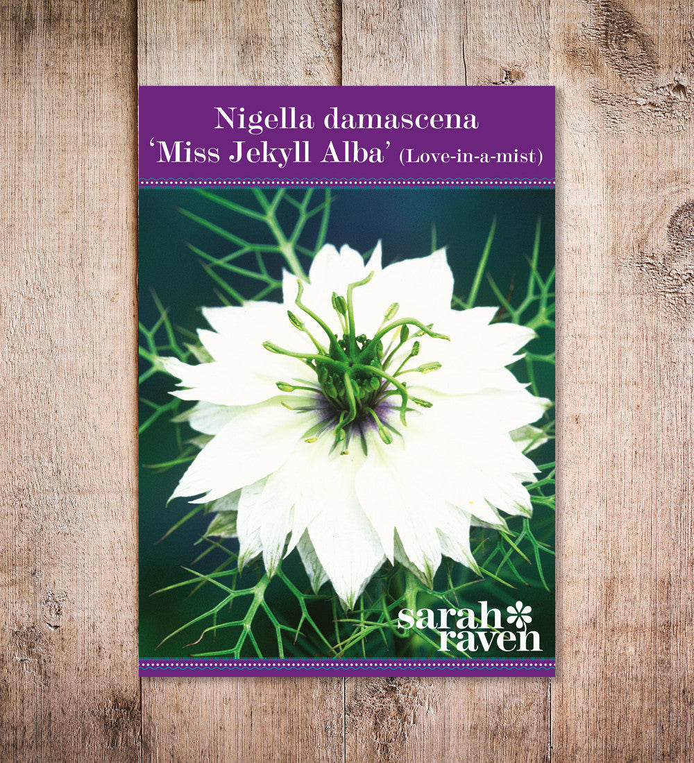 Sarah Raven Seeds Nigella Miss Jekyll Alba Samen 400 Samen weiß