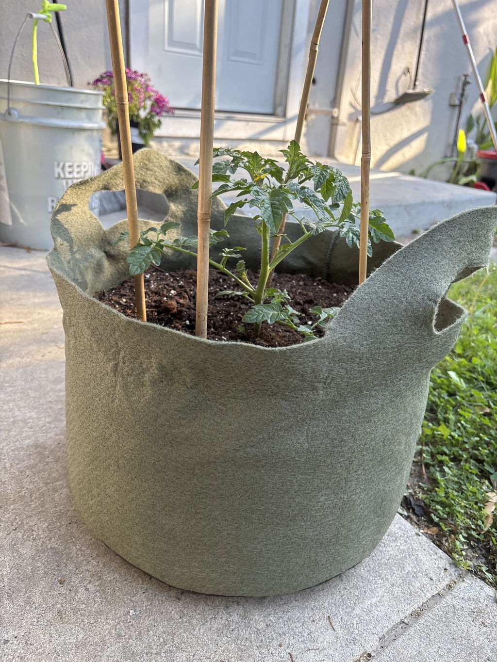 Smart Pot Fabric Planters Stofftopf atmungsaktiv