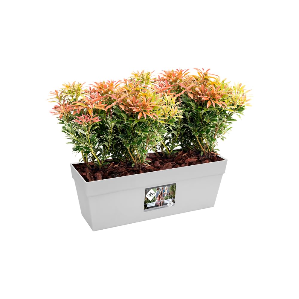 elho Loft Urban Balkonkasten 50 cm Weiß frostbeständig