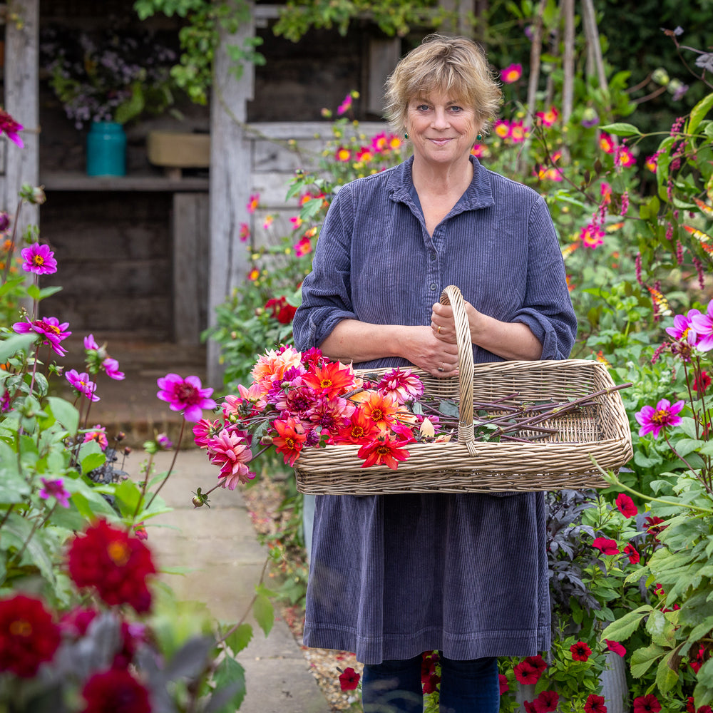 Sarah Raven Perch Hill Dahlia Day Kurs 18. September Dahlien