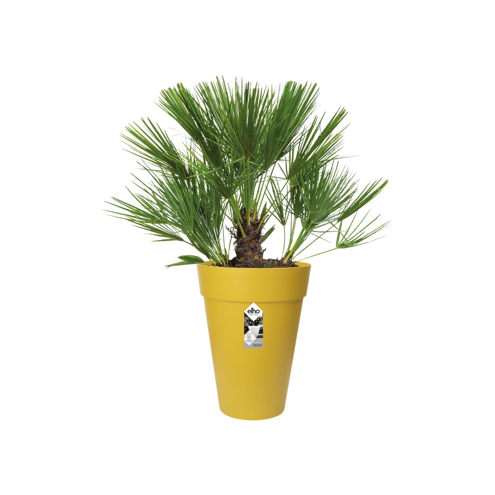 elho Loft Urban Rund Hoch 35cm Blumentopf Ocker