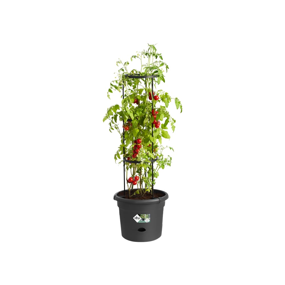 elho Green Basics Tomatentopf 33cm Pflanztopf Schwarz mit Rankgitter