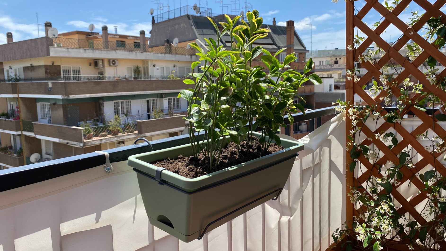 elho Barcelona Balkonkasten 50cm anthracite mit Untersetzer