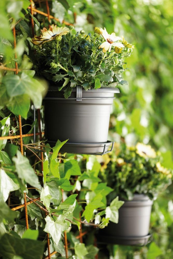 elho Green Basics Wandtopf Allin1 20 cm Lebhaft Schwarz