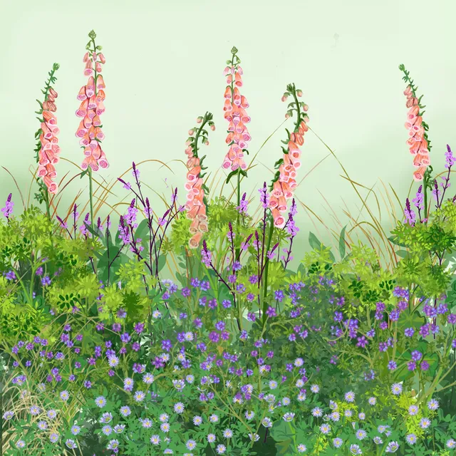 Sarah Raven Plants Naturalising Border Collection Stauden 18x 9cm selbst