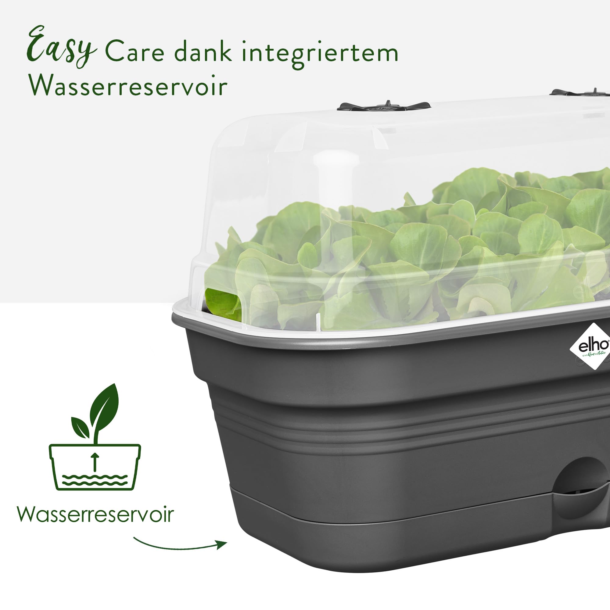 elho Green Basics Anzuchtschale M Schwarz mit Haube 32 cm