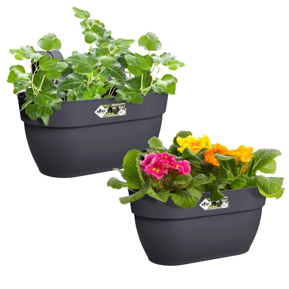 elho Vibia Campana Easy Hanger M Balkonkasten Anthrazit 2er