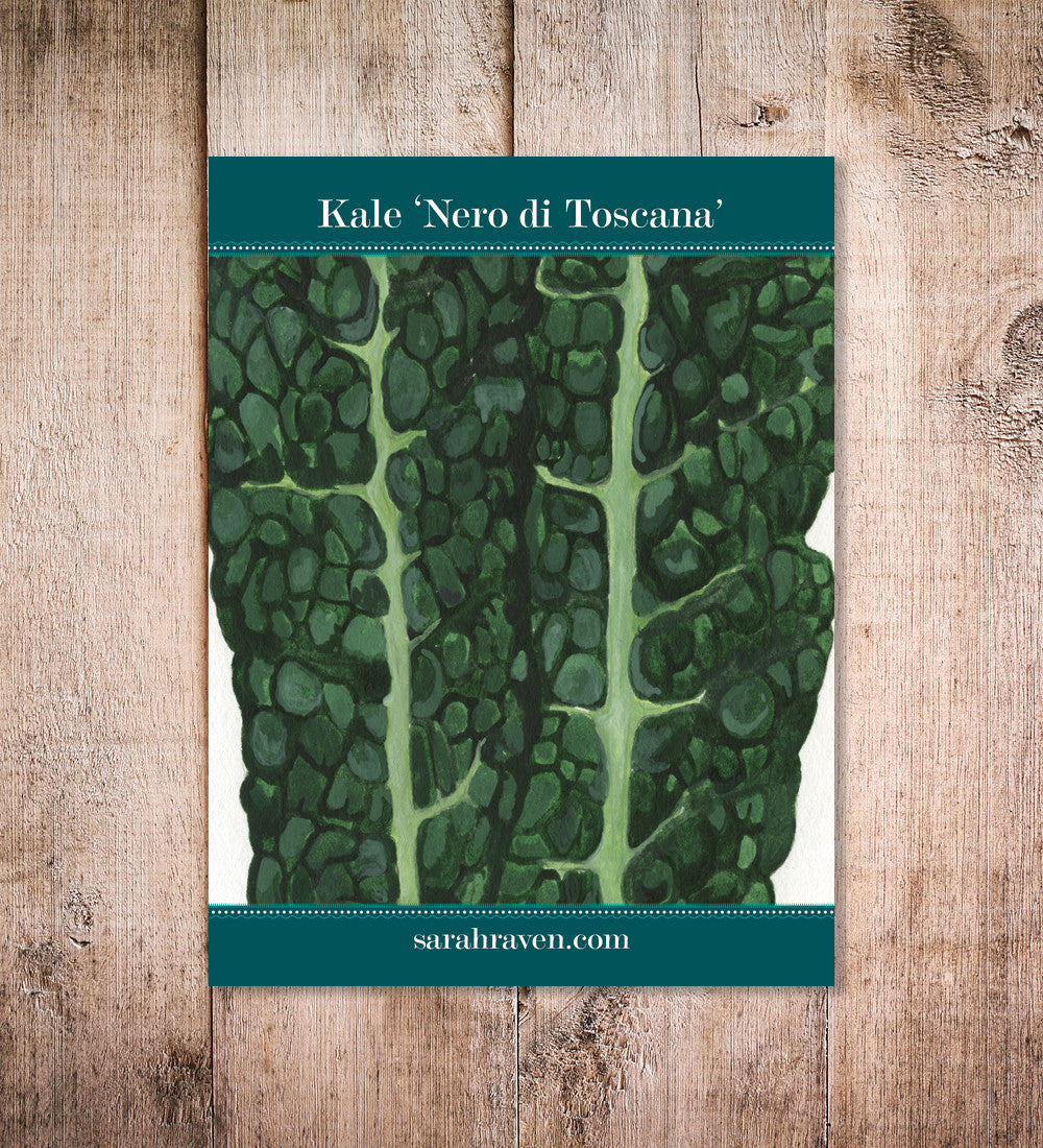 Sarah Raven Seeds Kale Nero di Toscana Saatgut 100 Samen Winter