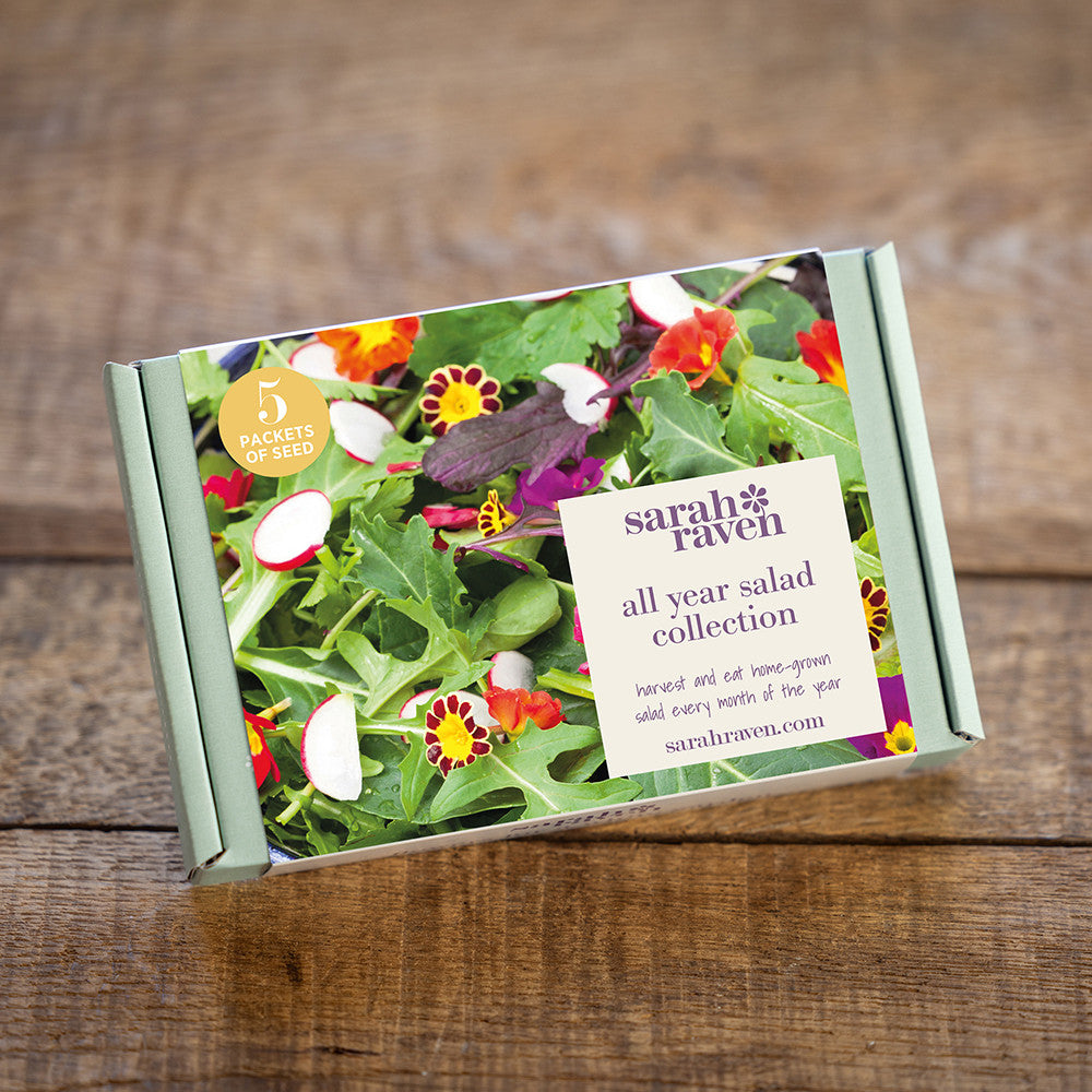 Sarah Raven Seeds Salat Samen Geschenkbox 5 Tüten ganzjährig