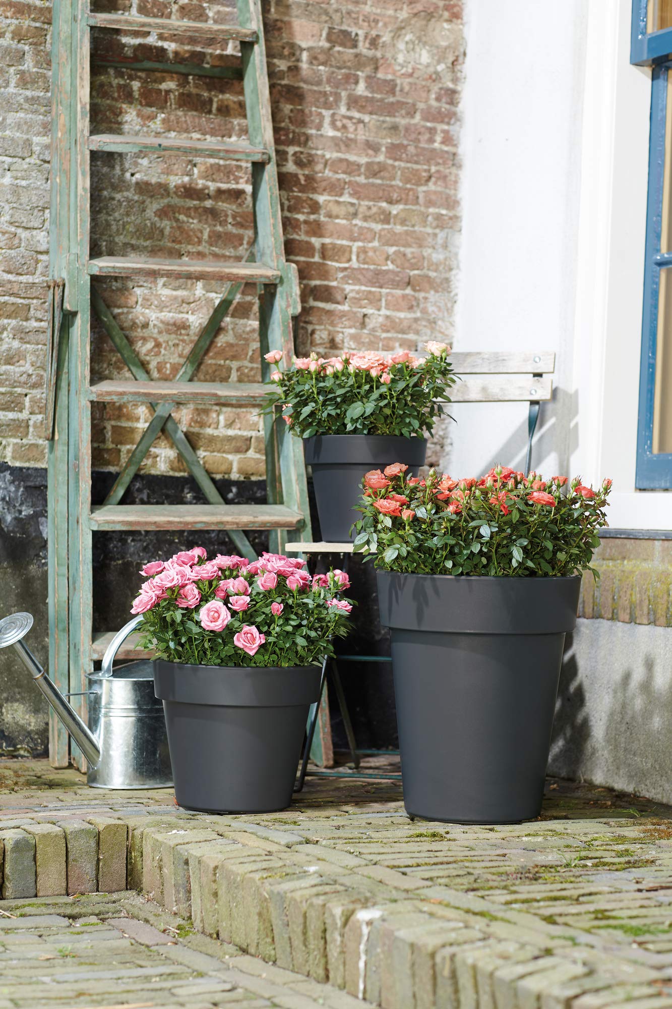 Elho Green Basics Top Planter 23 Blumentopf Kirsche 23 cm