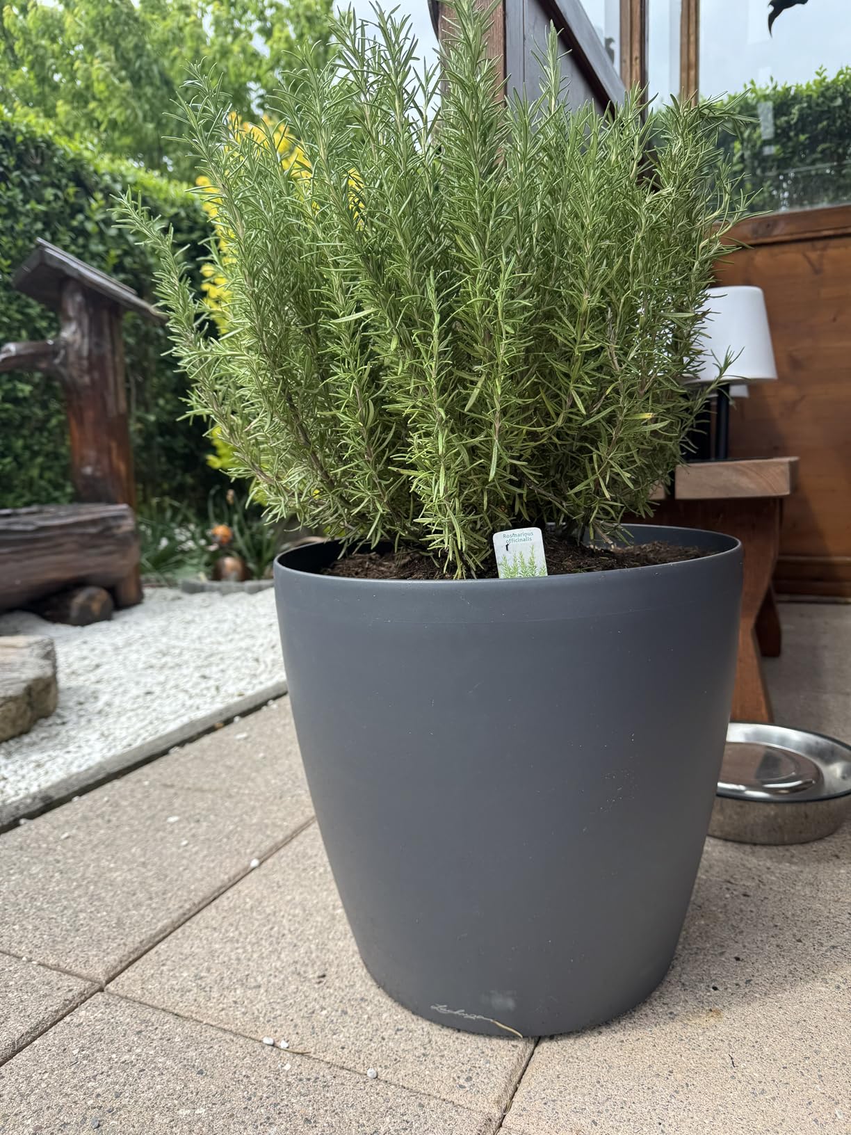 Lechuza Classico Color 43 Pflanztopf schiefergrau mit Bewässerung