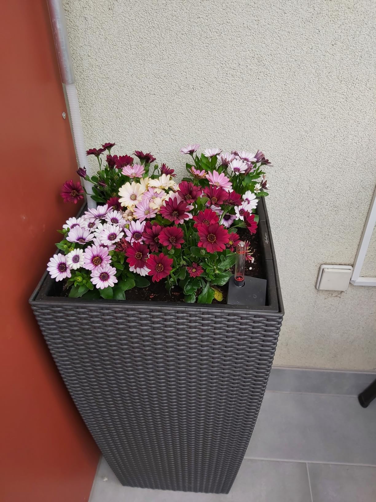 Lechuza CUBICO Cottage 40 Pflanzgefäß Granit Rattan