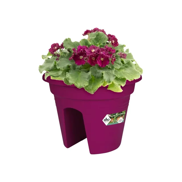 elho Green Basics Flower Bridge Balkonkasten 30 cm Kirsche