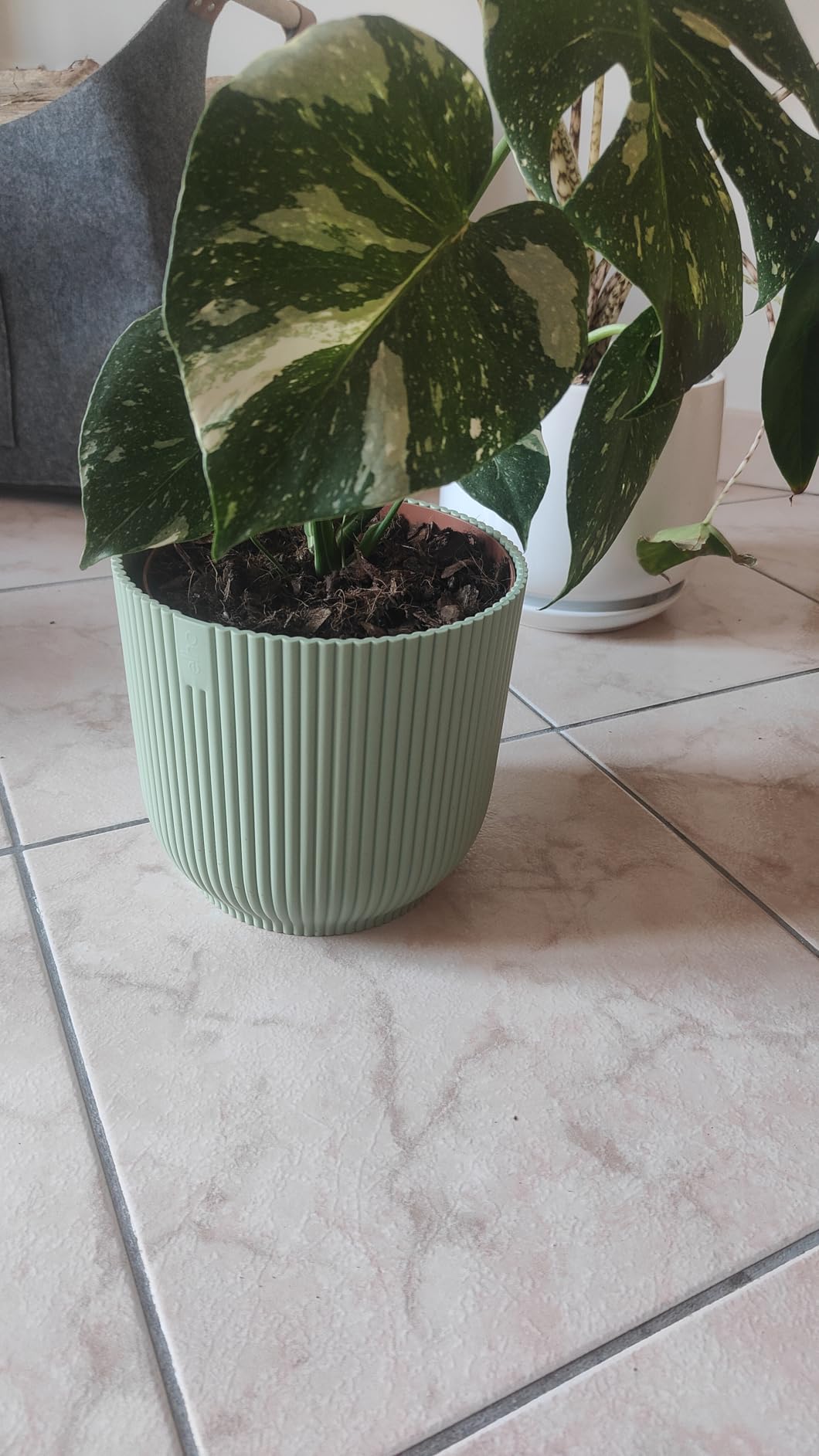 elho Vibes Fold 22 cm Blumentopf Linen White für innen