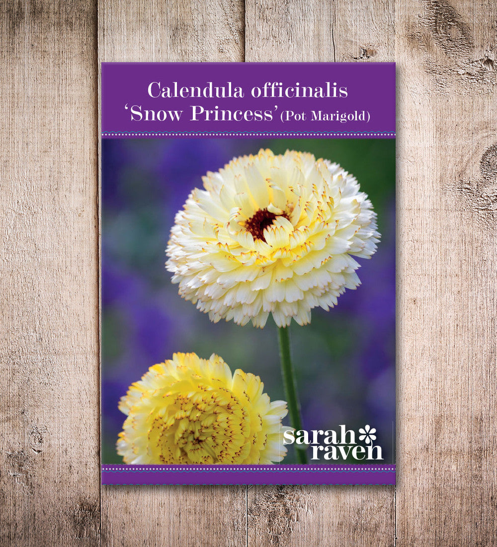 Sarah Raven Seeds Calendula Snow Princess Samen 75 Samen essbar