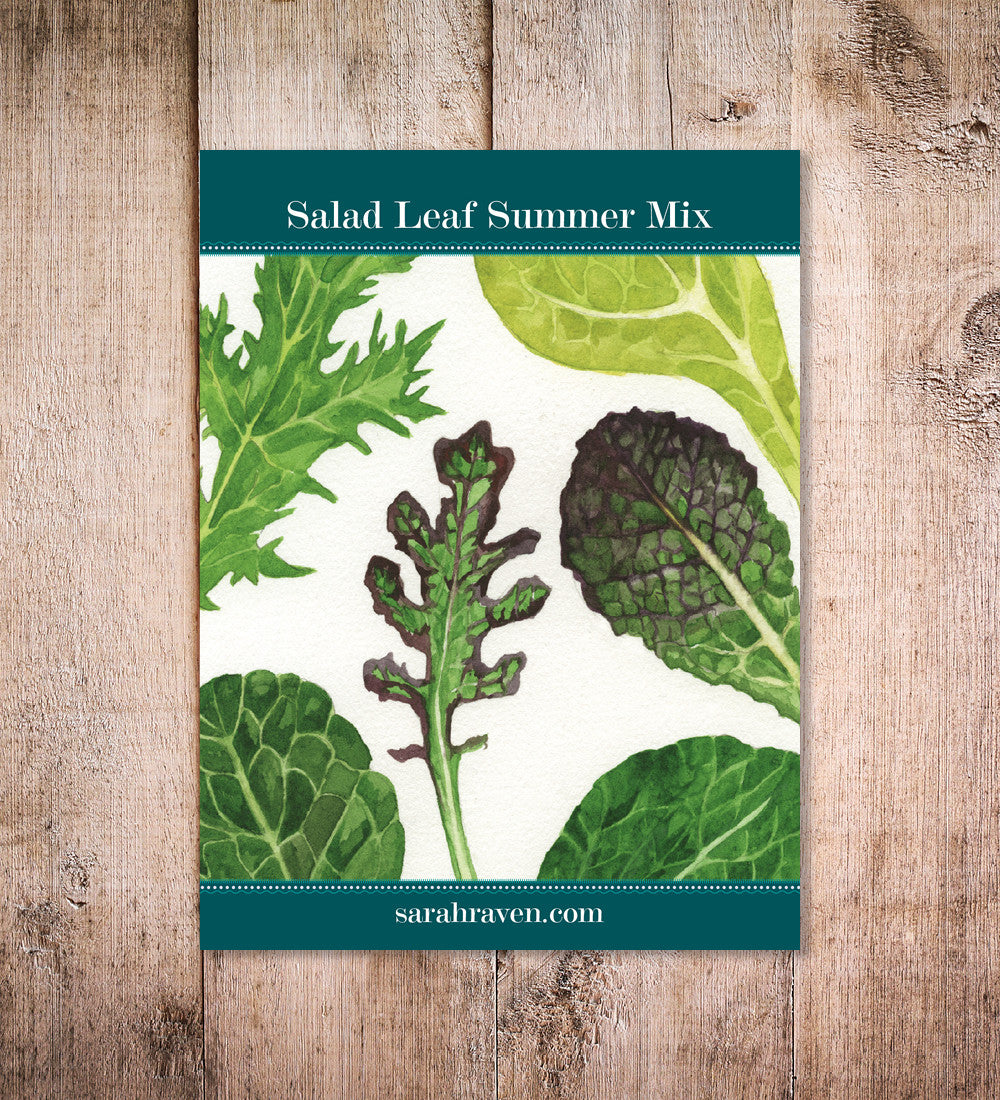 Sarah Raven Seeds Salad Leaf Salatsamen 500 Samen hitzetolerant