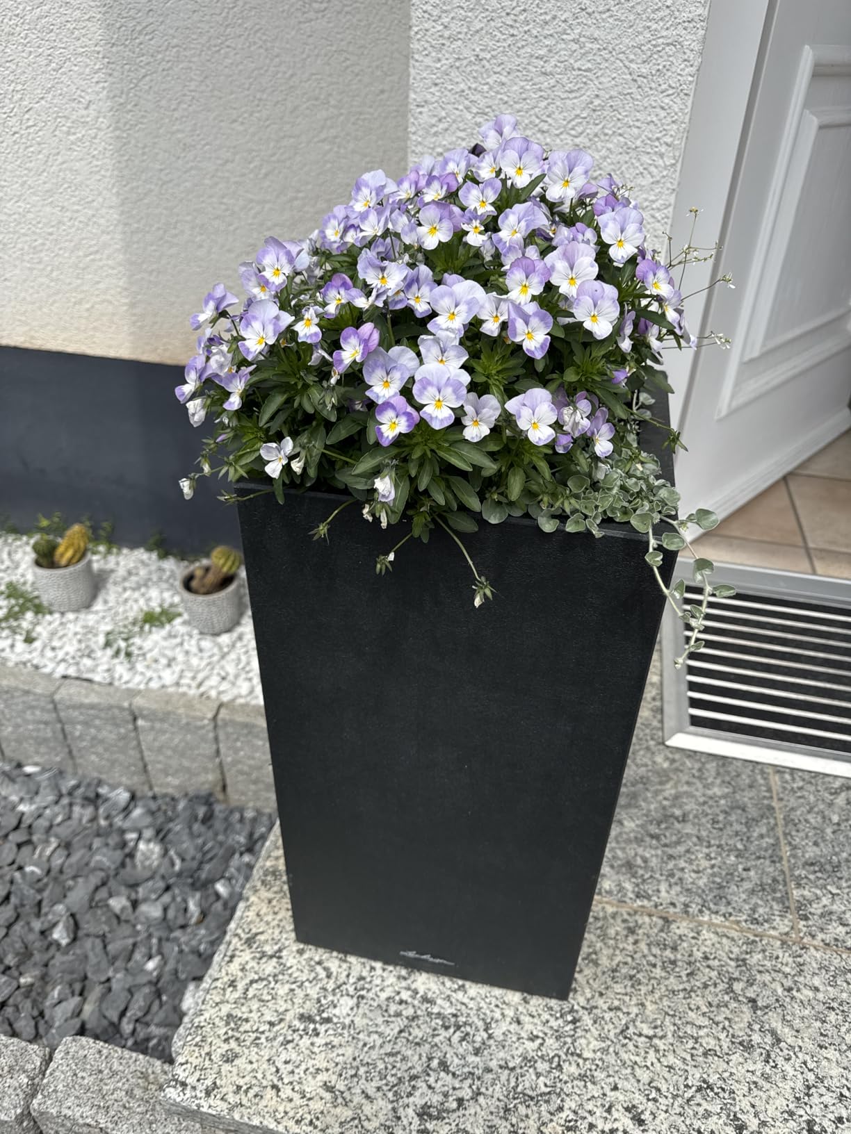 Lechuza Canto Stone 30 Low Pflanztopf Graphitschwarz Steinoptik
