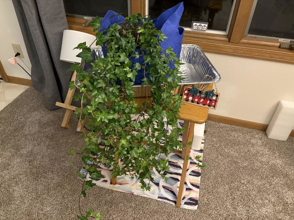 Smart Pot Fabric Planters Stofftopf atmungsaktiv