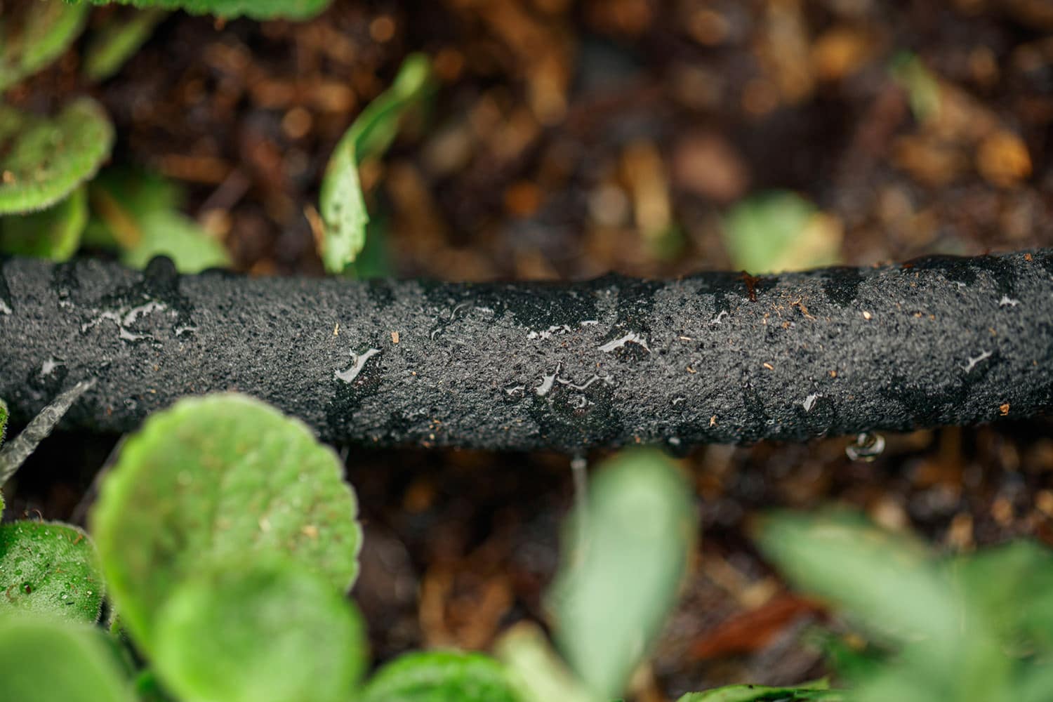 Smart Pot Bed Wetters Tropfschlauch wassersparend Beet