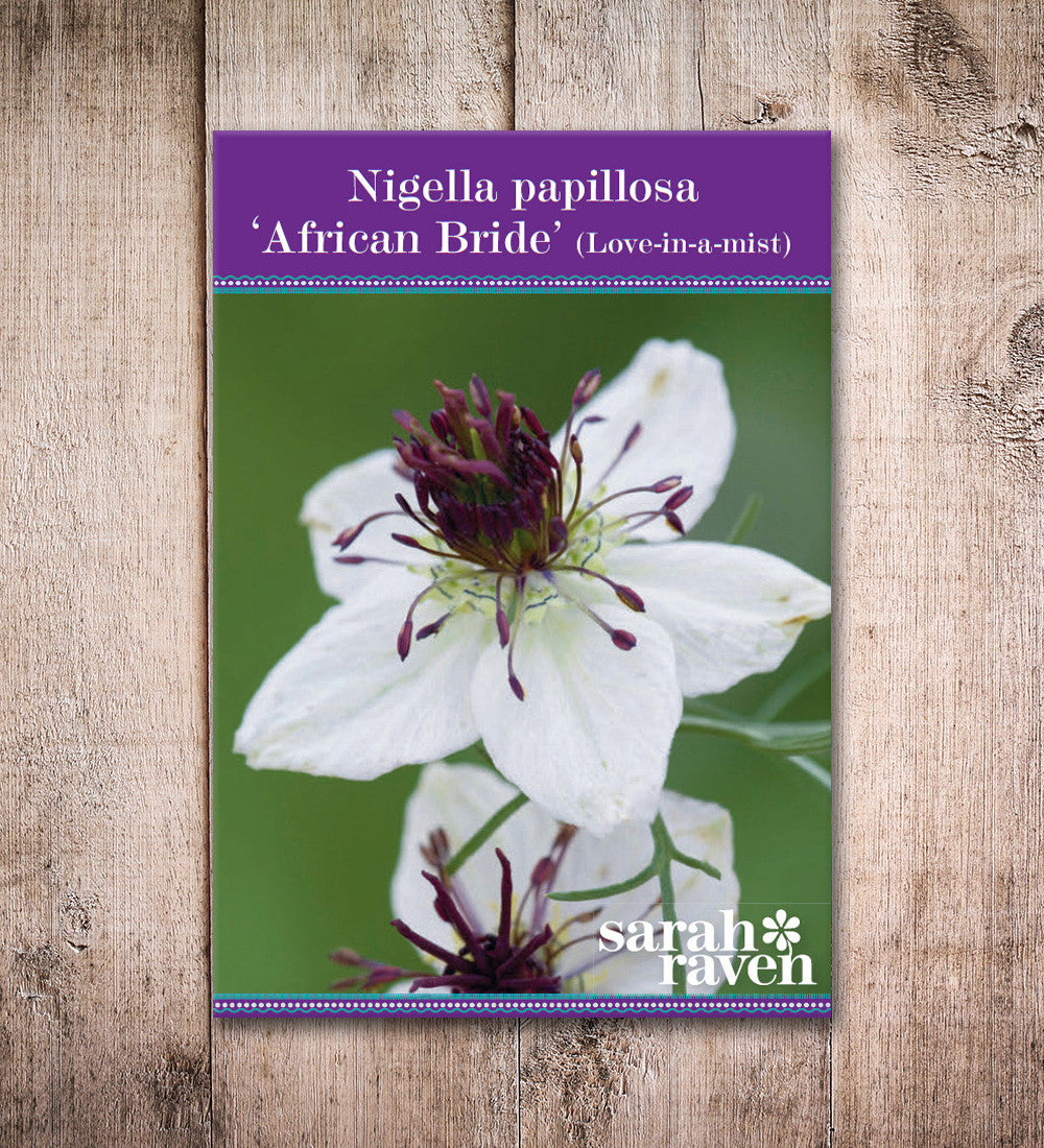 Sarah Raven Seeds Nigella African Bride Blumensamen 200 Samen