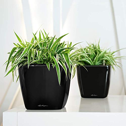 Lechuza Quadro Premium LS 21 Pflanztopf Silber Metallic Bewässerung