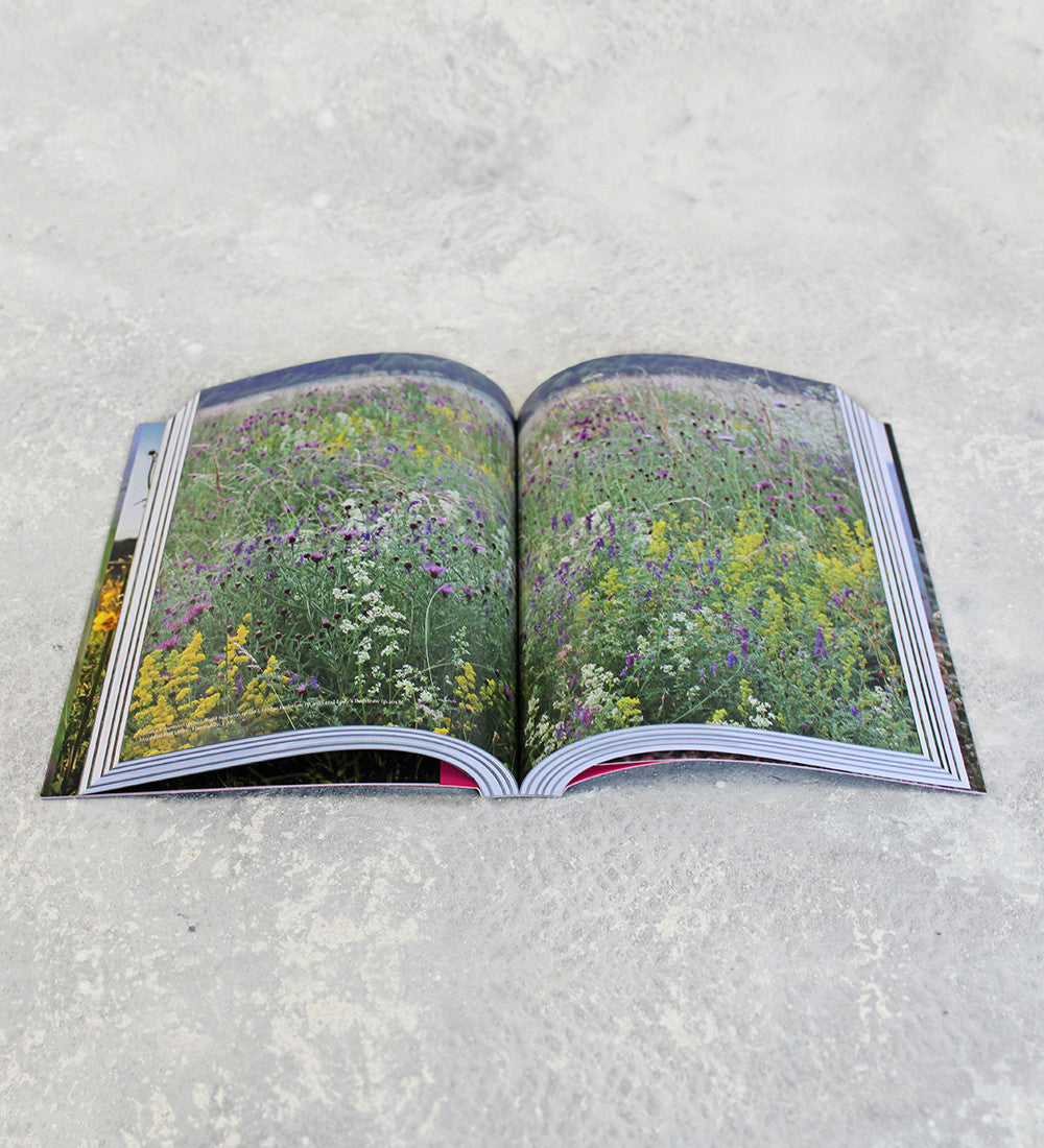 Sarah Raven Gardening Wild Flowers Taschenbuch Signiert 480 Seiten