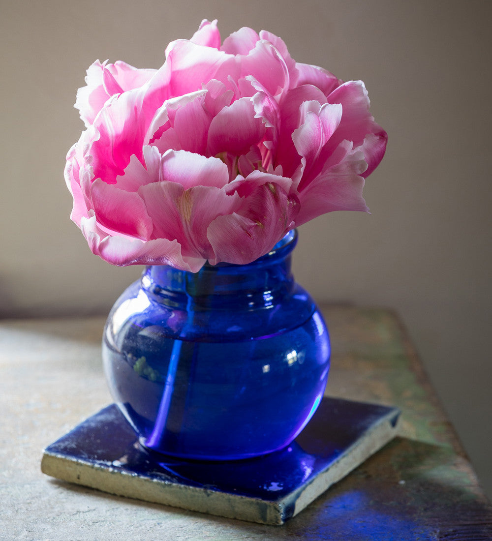 Sarah Raven Bulbs Tulip Pink Star Blumenzwiebeln 10 Stück gefüllt