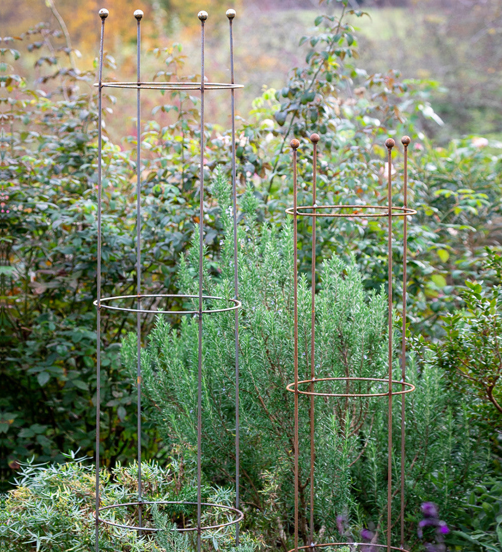 Sarah Raven Castle Plant Support Pflanzstütze 3er Set Stahl